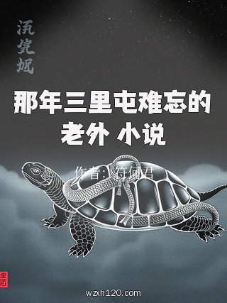 那年三里屯难忘的老外 小说