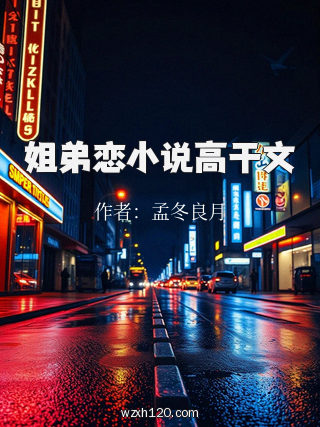 姐弟恋小说高干文
