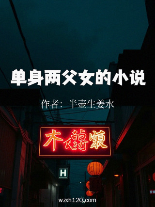 单身两父女的小说