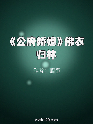 《公府娇媳》佛衣归林