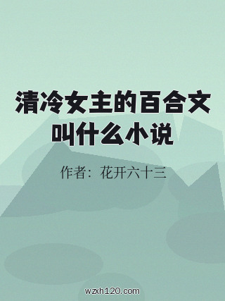清冷女主的百合文叫什么小说