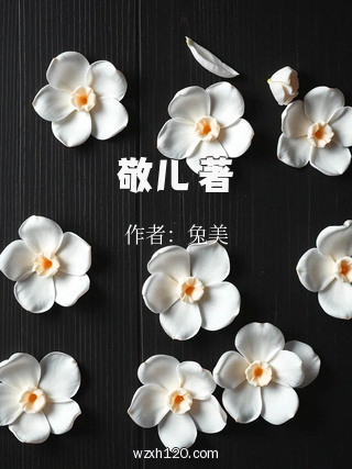 敬儿 著