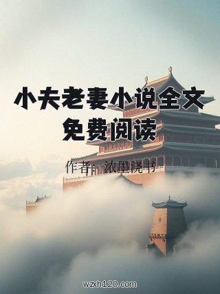 小夫老妻小说全文免费阅读
