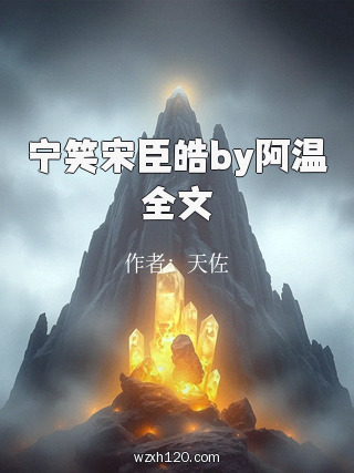 宁笑宋臣皓by阿温全文