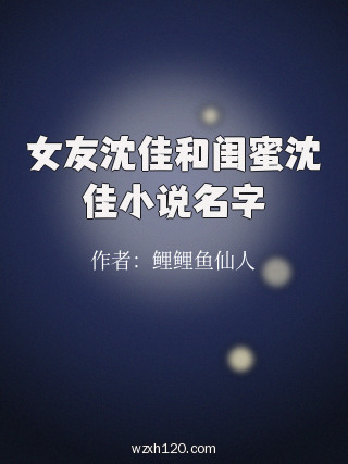 女友沈佳和闺蜜沈佳小说名字