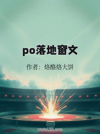 po落地窗文