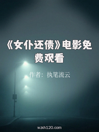 《女仆还债》电影免费观看