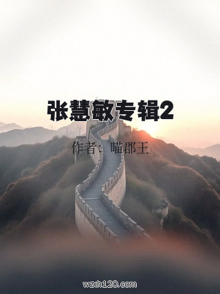 张慧敏专辑2