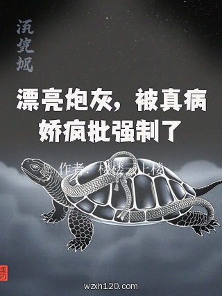 漂亮炮灰,被真病娇疯批强制了