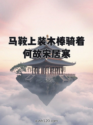 马鞍上装木棒骑着何故宋居寒