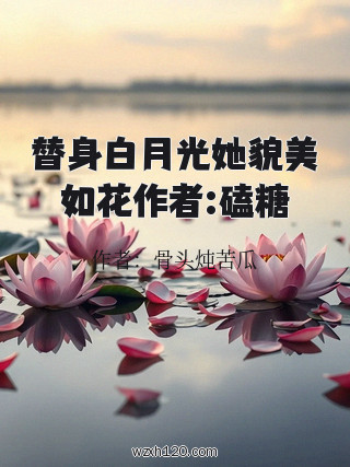 替身白月光她貌美如花作者:磕糖