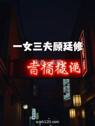 一女三夫顾廷修