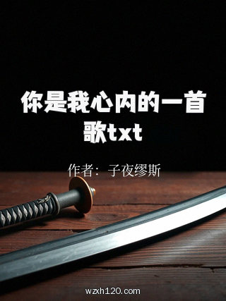 你是我心内的一首歌txt
