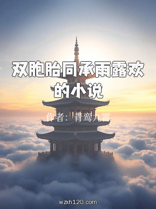 双胞胎同承雨露欢的小说