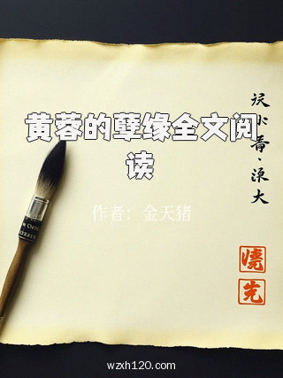 黄蓉的孽缘全文阅读