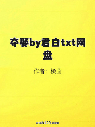 夺娶by君白txt网盘