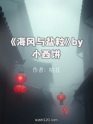 《海风与盐粒》by小西饼