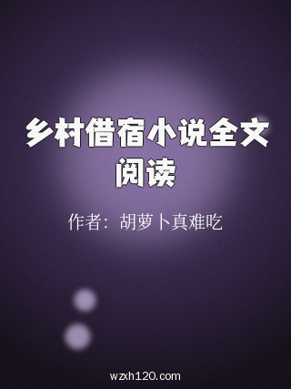 乡村借宿小说全文阅读