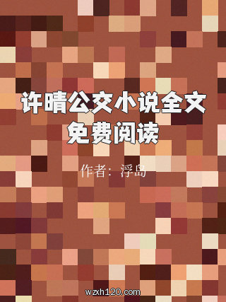 许晴公交小说全文免费阅读