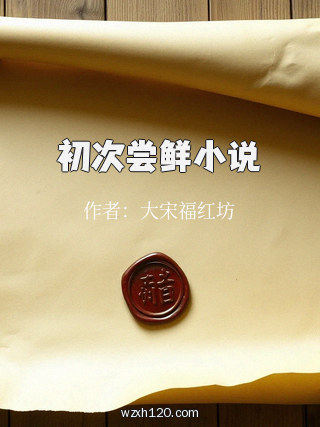 初次尝鲜小说