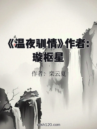 《温夜驯情》作者:璇枢星