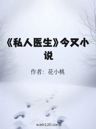 《私人医生》今又小说