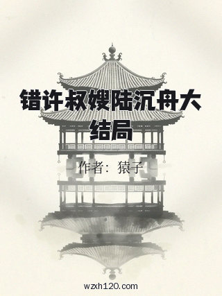错许叔嫂陆沉舟大结局