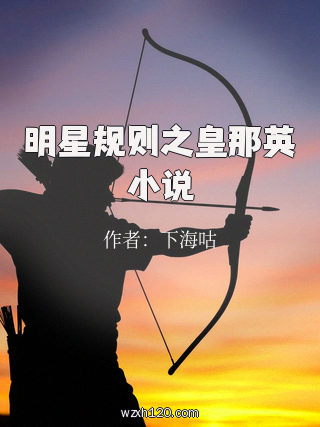 明星规则之皇那英小说