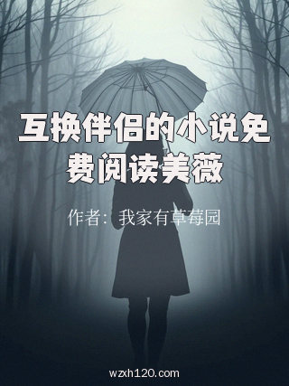 互换伴侣的小说免费阅读美薇
