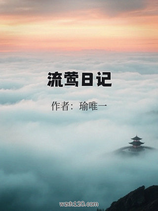流莺日记