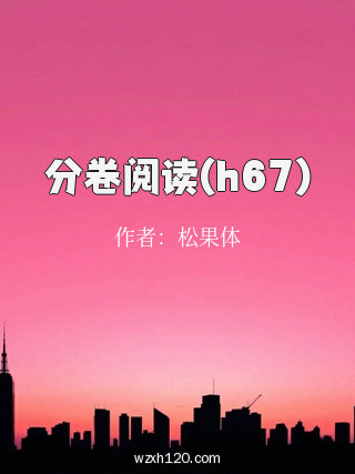 分卷阅读(h67)