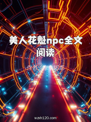 美人花魁npc全文阅读