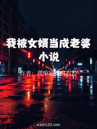 我被女婿当成老婆小说