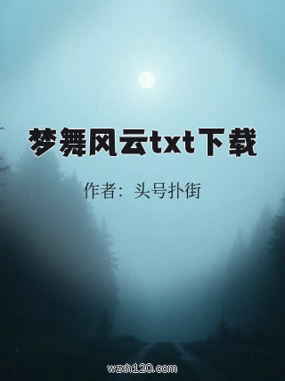 梦舞风云txt下载