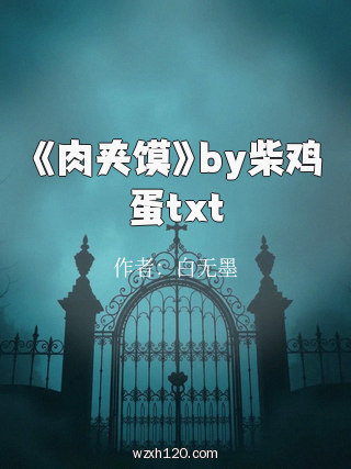 《肉夹馍》by柴鸡蛋txt