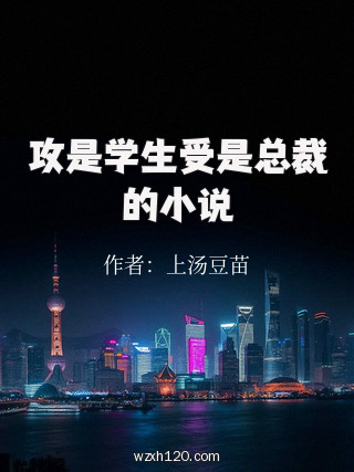 攻是学生受是总裁的小说
