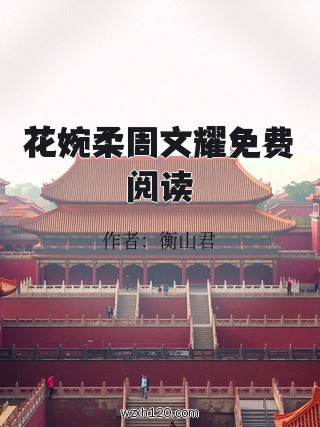 花婉柔周文耀免费阅读