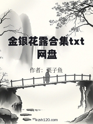 金银花露合集txt网盘