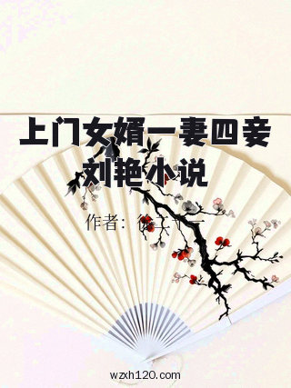 上门女婿一妻四妾刘艳小说