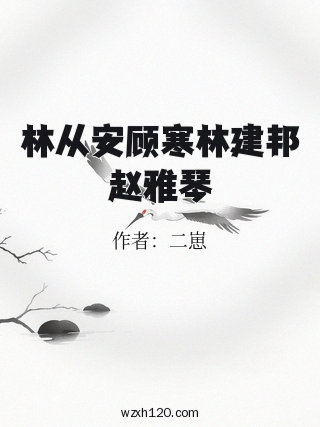 林从安顾寒林建邦赵雅琴