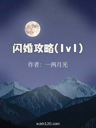 闪婚攻略(1v1)