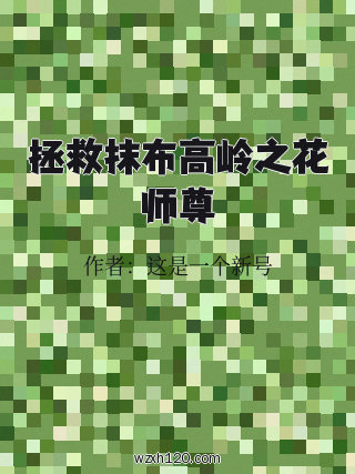 拯救抹布高岭之花师尊