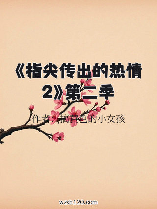 《指尖传出的热情2》第二季