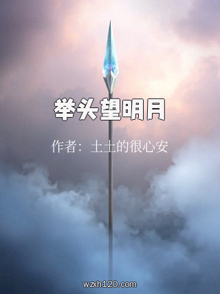 举头望明月