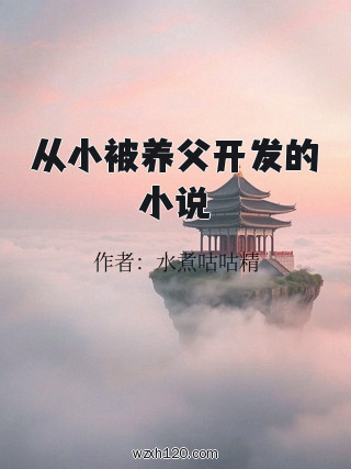 从小被养父开发的小说