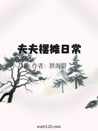 夫夫摆摊日常