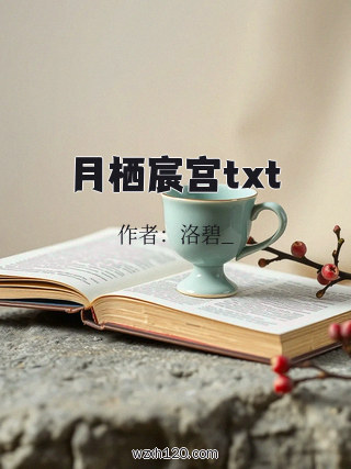 月栖宸宫txt