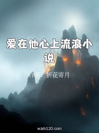 爱在他心上流浪小说
