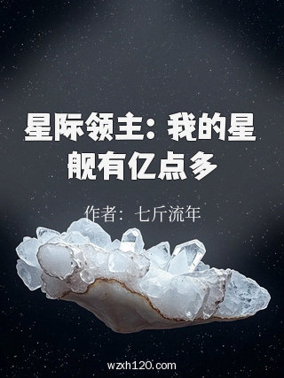 星际领主:我的星舰有亿点多