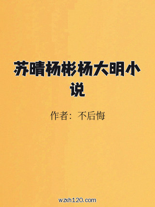 苏晴杨彬杨大明小说